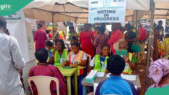 2027 elections: What disqualifies someone from running for office in Nigeria