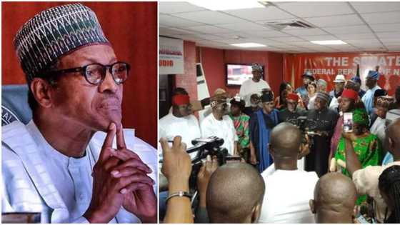 "Buhari must go", PDP Senators chant, stage walk out of plenary as Lawan stops impeachment move