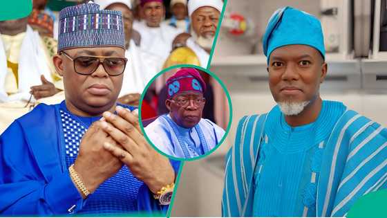 Ambassadors or political errand boys? By Oluwafemi Popoola