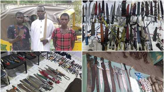 Hotunan Bindigu, Makamai Da Ƙwayoyi Da Ƴan Sanda Suka Ƙwato Hannun Ƴan Fashi Da Masu Garkuwa 225 a Kano