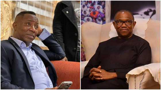 2023: Sowore attacks Peter Obi, accuses Obidients of sabotaging democracy