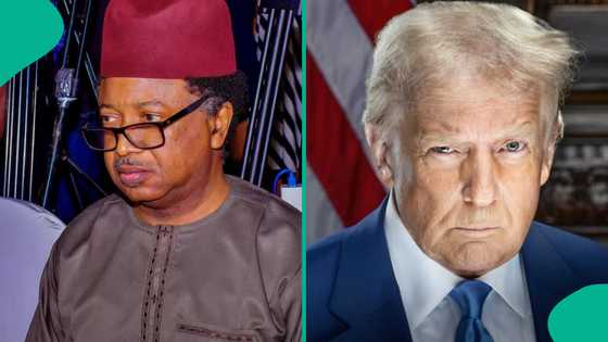 Barazanar kawo hari: Shehu Sani ya yi wa Trump martani mai zafi