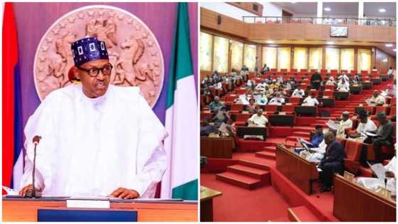 BREAKING: Tension soars as Senate throws out Buhari’s Electoral Bill