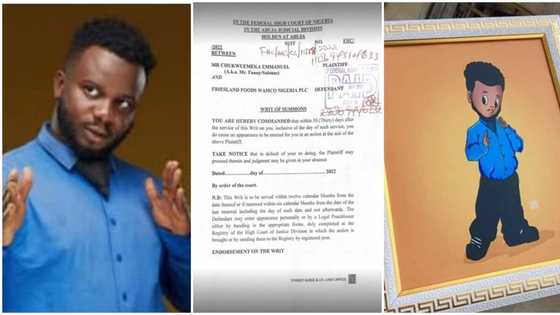 Exclusive: Documents emerge as Sabinus drags Friesland Foods, UAC to Federal High Court over copyright infringement