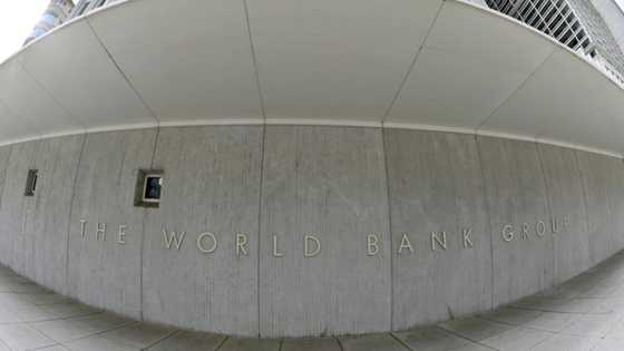 World Bank cuts growth forecast on trade tumult