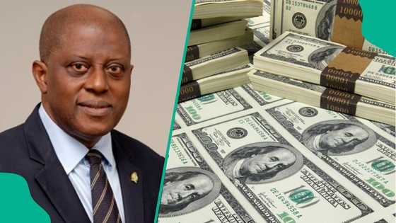 Naira falls to new low after CBN spends millions of dollar to defend currency