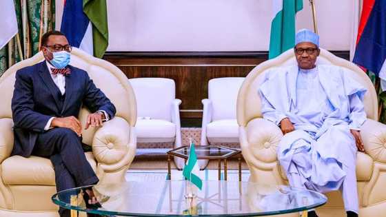 AfDB saga: What really happened when Buhari met Akinwunmi Adesina - Femi Adesina reveals