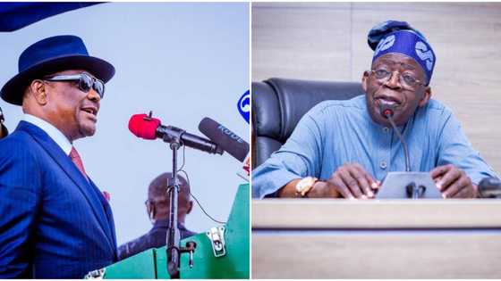 2023: Tinubu-Wike reported alliance meeting confirmed as support group makes strong revelation