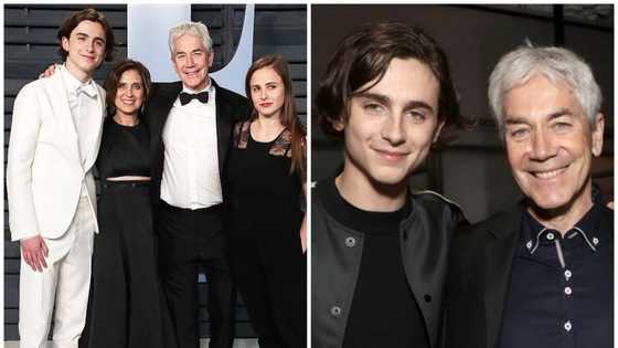 Marc Chalamet’s biography: who is Timothee Chalamet’s dad?