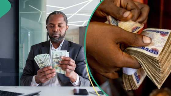 Banks, others sell naira for new rate as dollar supply increases by $110m in 24 hours