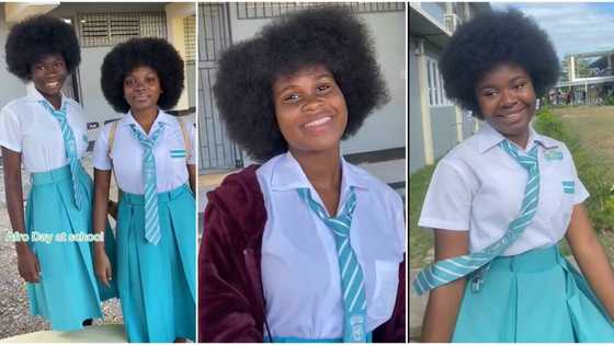 "Beautiful black queens": Secondary school girls with dark afro hair go viral, video emerges on TikTok
