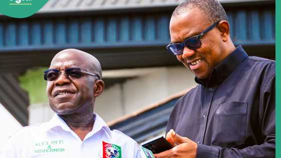 Supreme Court: Gov Otti funding Peter Obi's case? Details emerge