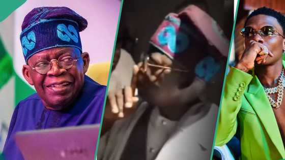 "Baba na baba": Nigerians compare Tinubu with Wizkid after something he did at an event went viral