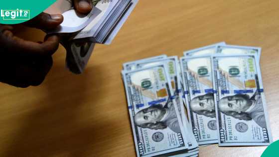Expert predicts new exchange rate as naira appreciates against US dollar
