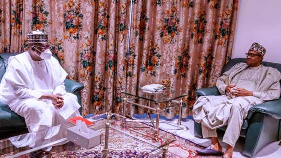 Senate won’t fight Buhari to please anybody, Lawan declares