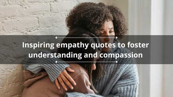 70 inspiring empathy quotes to foster understanding and compassion