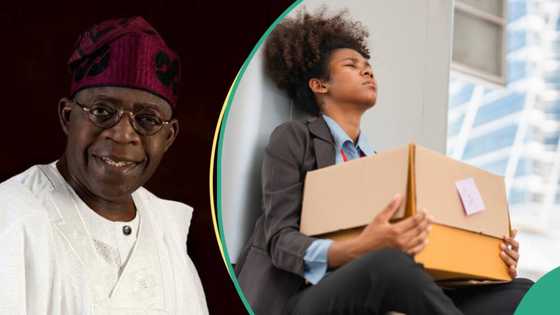 “Each person to receive N25,000”: FG to begin distributing money to unemployed Nigerian youths