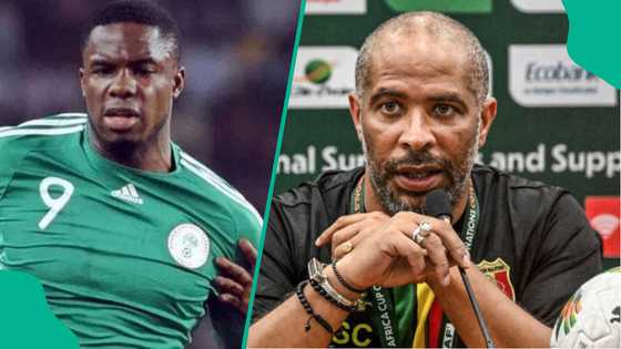 NFF faces backlash as ex-Super Eagles striker questions Chelle selection