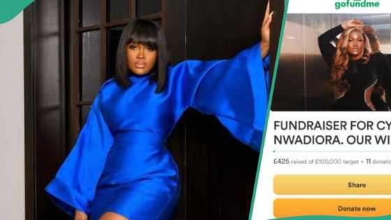 Cee C's fans open GoFundMe account for her after losing BBNaija N120m prize: "People wey never chop"