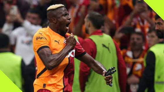 Ex-Besiktas Ace Explains Why Osimhen Is Better Than Turkey’s Record Signing