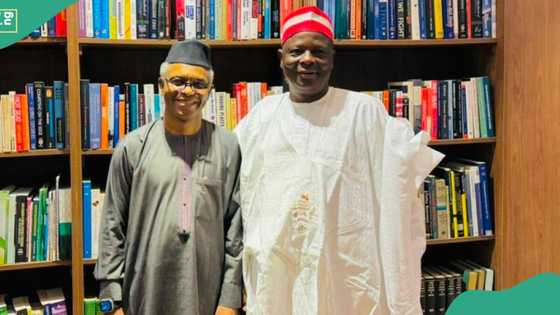 "Neman kifar da Tinubu ne": Shettima ya zargi musabbabin ziyarar Kwankwaso ga El-Rufai