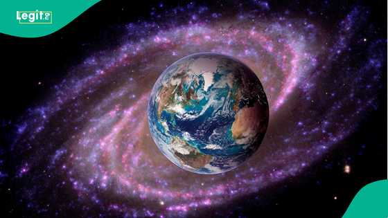 Bumpy Johnson's daughter: What happened to Elease Johnson? - Legit.ng