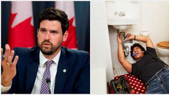 "Teaching, plumber": Canada releases list of job categories to be given priority for express entry visa