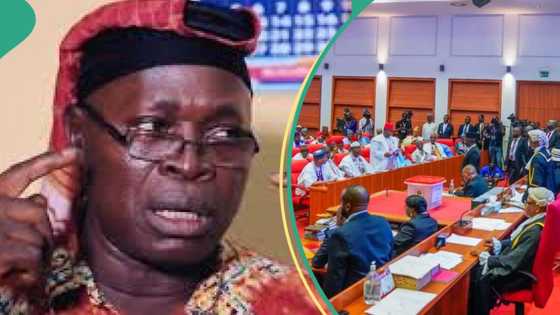 MURIC blasts Senators, Reps members for not distributing Tinubu's rice, other foodstuff