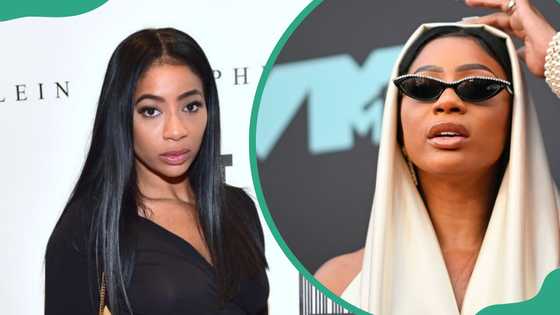 Tommie Lee: Her life story, rise to fame, and where she comes from