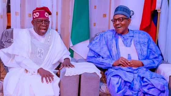 Daga Karbar Satifiket a Hannun INEC, Tinubu Ya Garzaya Daura Domin Ganawa da Buhari