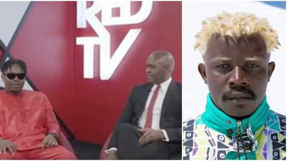 Baddo na baba: Old video of Olamide pitching TG Omori's art to Tony Elumelu goes viral, director reacts