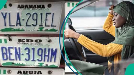 Full list: FG unveils new prices for vehicle licensing and registration