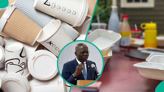 Lagos plastic ban: Manufacturers estimate losses on Nigerians as deadline nears