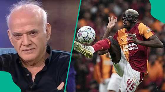 Former Turkish referee sends message to Victor Osimhen after Barcelona defeat