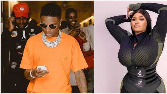 Endowed lady cries out as Wizkid continues to ignore her Instagram DMs since 2008, Nigerians react
