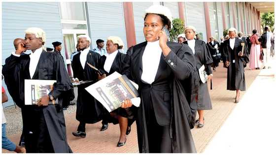 Lawyers Now-Now: Excitement for prison inmates as female lawyers launched Nigeria’s app for justice