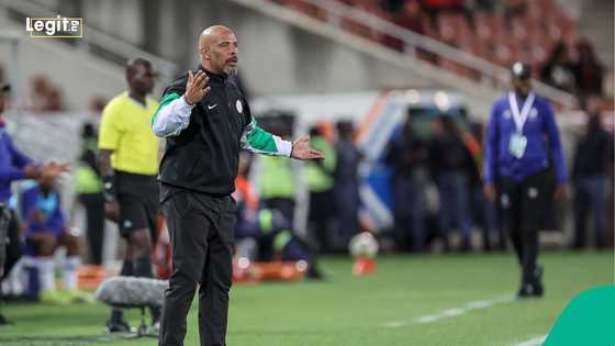 Eric Chelle reportedly set to announce strong 28-man squad for AFCON 2025, NFF shows full support