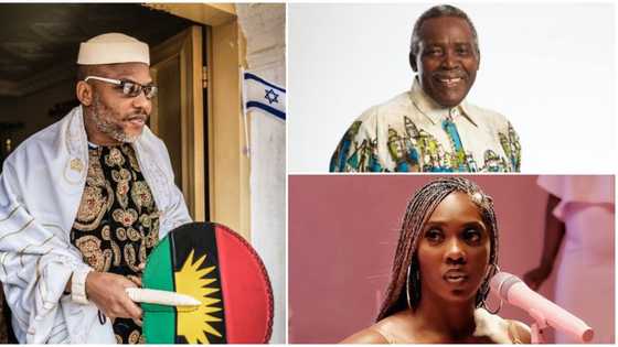 Tyson Fury vs Wilder, EndSARS, Tiwa Savage and more: What Nigerians Searched for in October