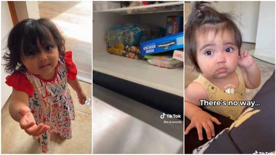 "You better give her": Kid sees father opening their home fridge, runs towards him to beg for snacks