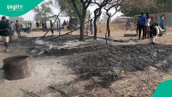 Fresh tragedy in Adamawa as many feared dead in suspected Boko Haram attack