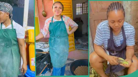 "I was poor when I was collecting salary": EBSU graduate dumps job, starts making plantain chips