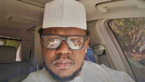 Prominent Fulani politician says it doesn’t make sense for cows to be roaming streets in 2021