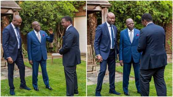 "100% ready to take over from Buhari": Fresh photos of Tinubu in dapper blue suit emerge, Nigerians react