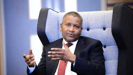 Dangote rated Africa’s richest man with $15.6 billion, gains $20.7 million in 24 hours