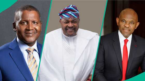 Reno Omokri lists 12 things he learned from hanging out with Dangote, Adenuga and Elumelu