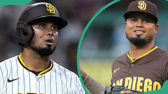 Luis Arraez's contract details: salary, terms and career earnings