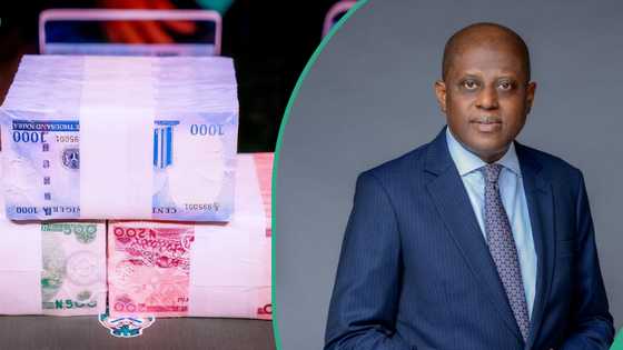 CBN sends urgent message to dealers as naira nears N2,000/$ in black market