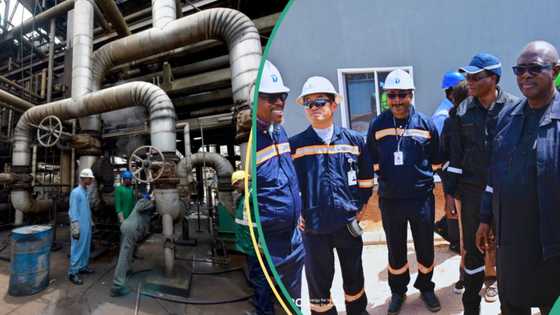 After Dangote, Nigeria’s oldest refinery begins operation, video shows workers jubilating