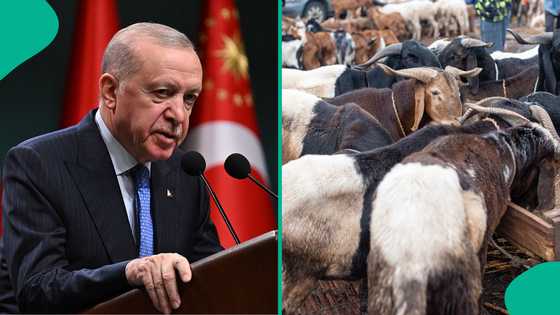 Turkey declares public holiday for Eid Al Adha, extends days