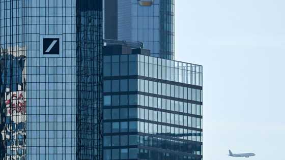 German industry alliance lays out domestic investment push